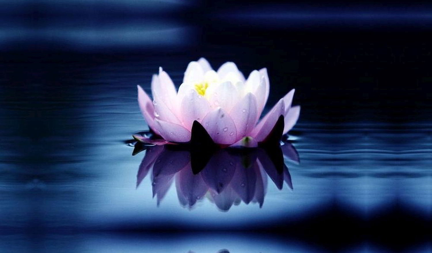 Il potere dell’ipnosi non verbale