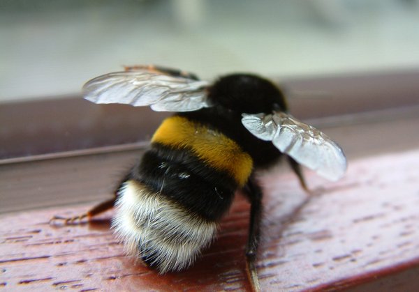 Queste persone non esistono