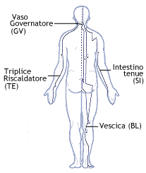 Decorso dei meridiani sulla parte posteriore del corpo